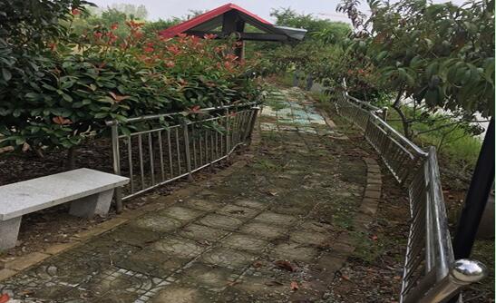 Ϸվ¼gaI_l^**e޹˾ټwϵķݡľYaЈrֵuĿ