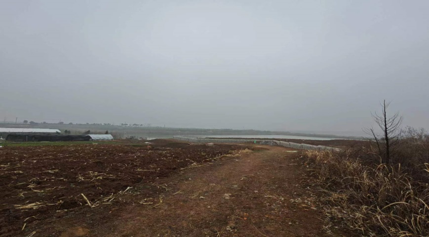 ϷuN@ֹ޹˾OλںϷзhͤSٵ@깤Јrֵu